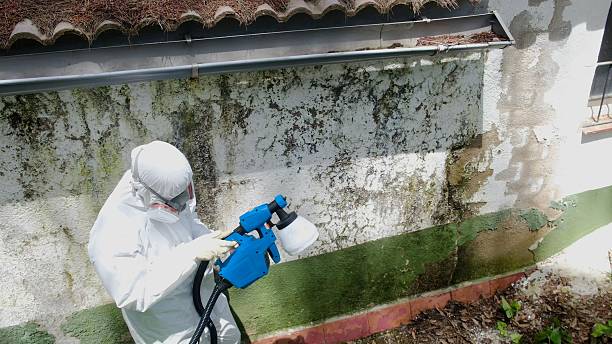 Top rated local Commercial Mold Remediation specialists in Roosevelt, NJ